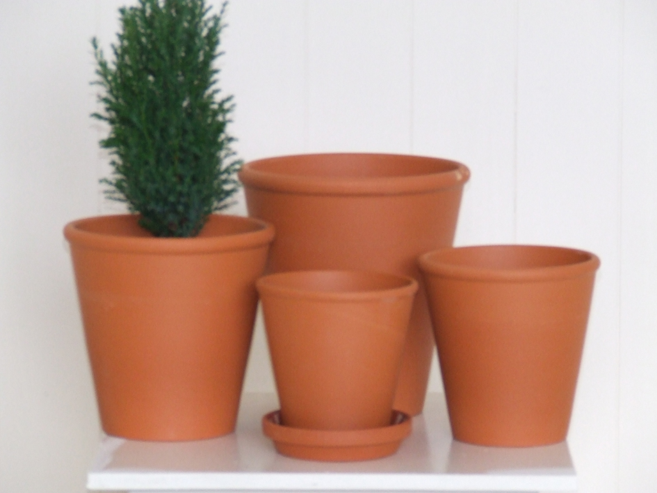 German Rose Pot 10/12cm Terracotta Pots Windy Ridge